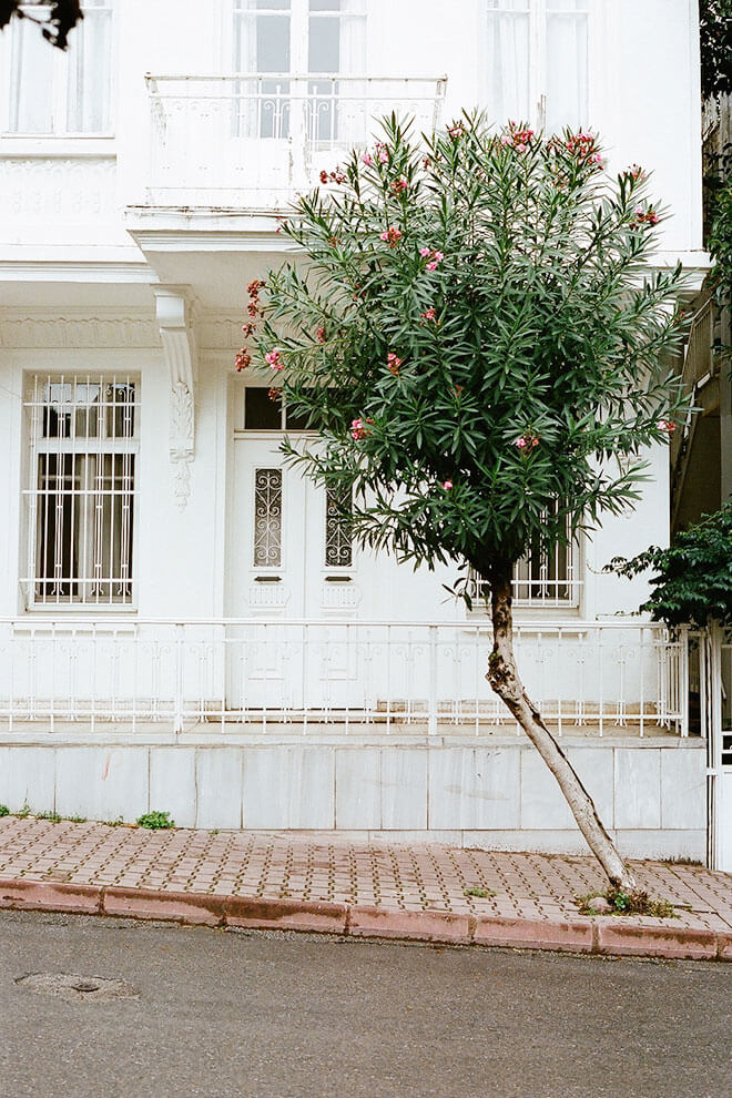 INA NIEHOFF - TRAVEL