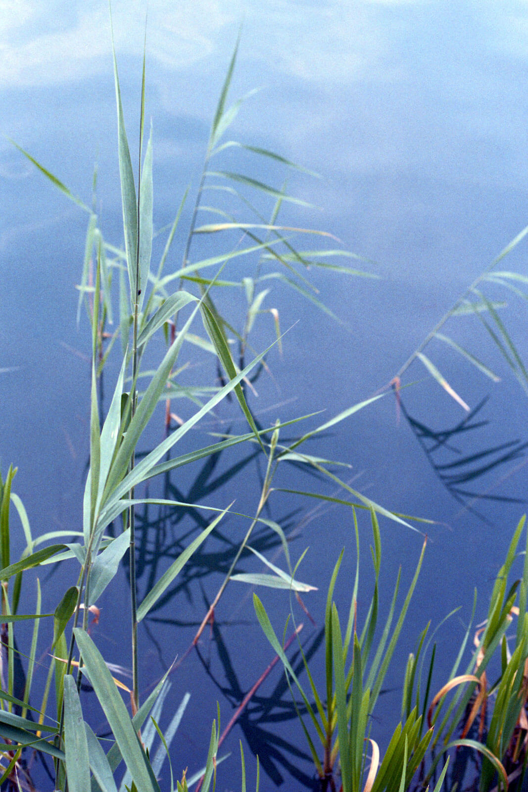 INA NIEHOFF - TRAVEL