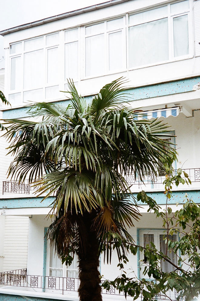 INA NIEHOFF - TRAVEL