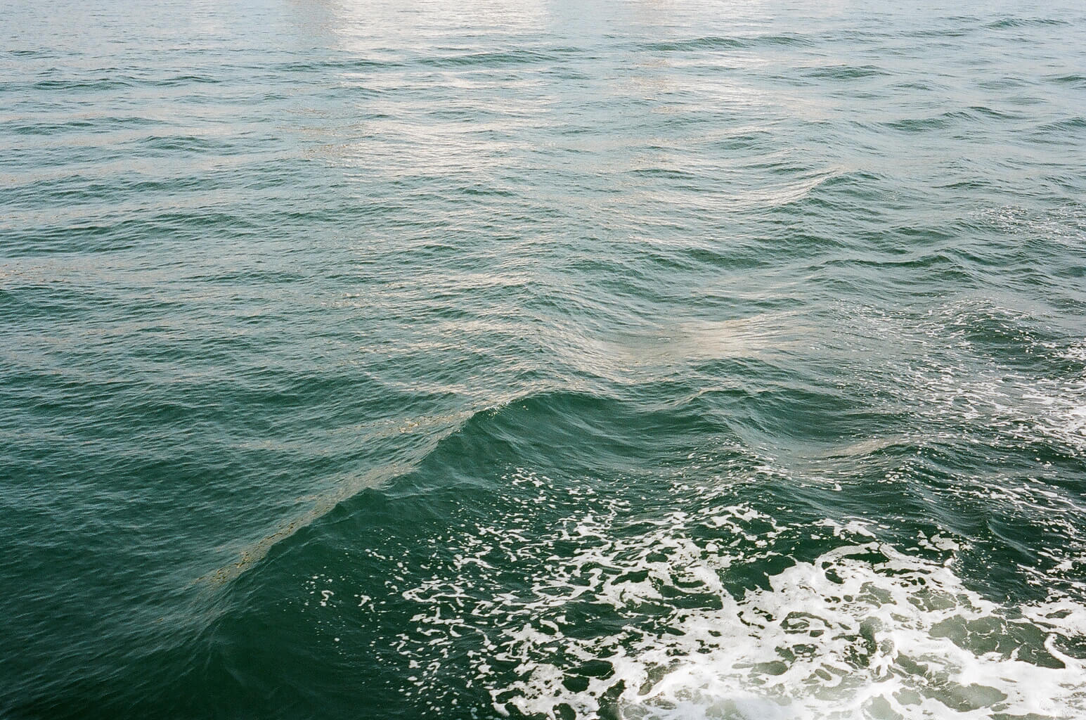 INA NIEHOFF - Istanbul