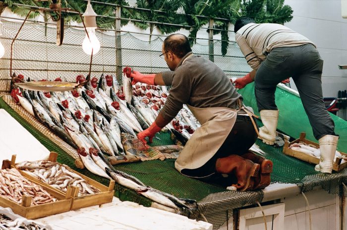 INA NIEHOFF - Istanbul