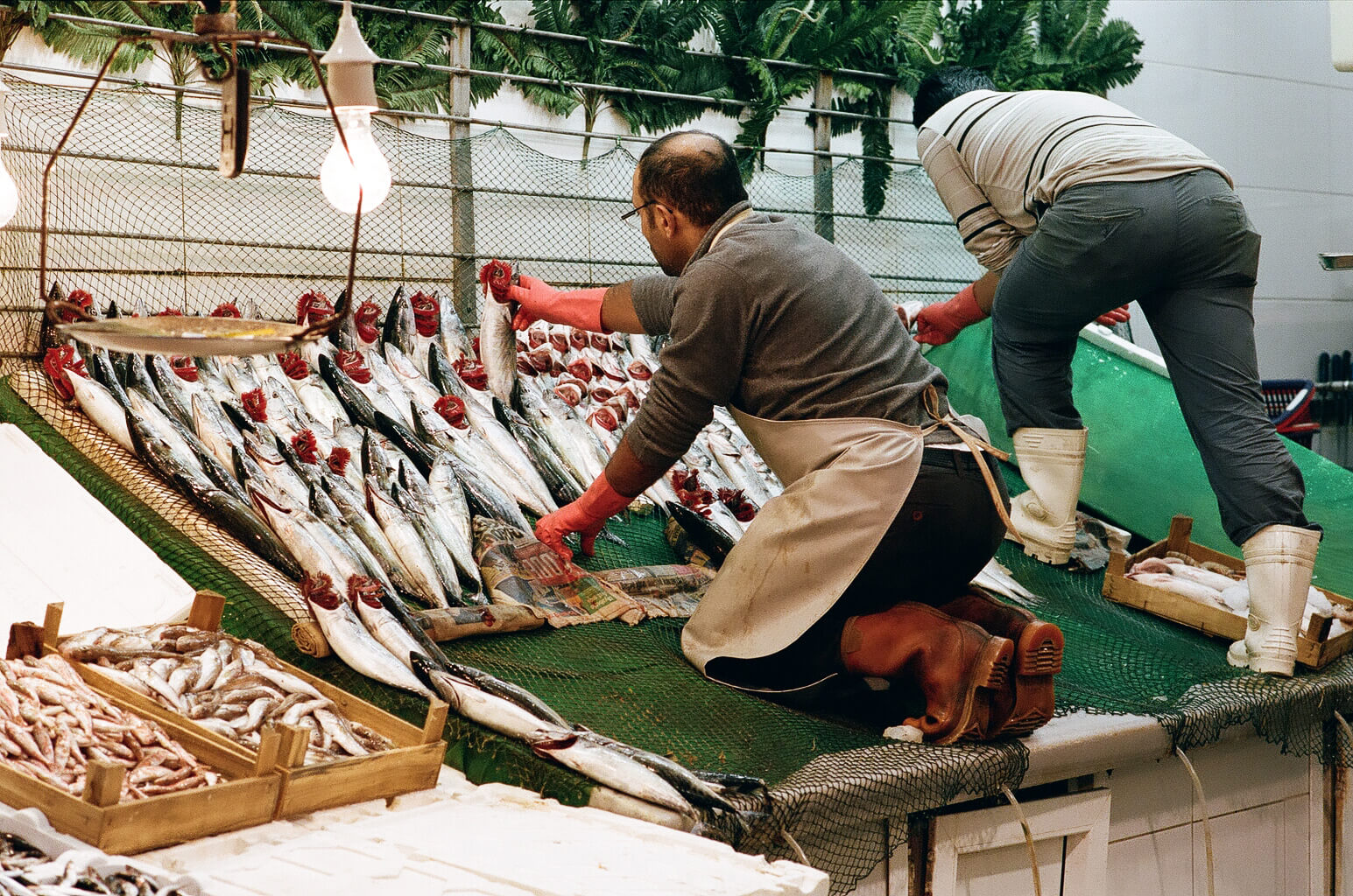 INA NIEHOFF - Istanbul