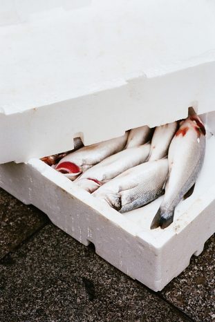 INA NIEHOFF - Istanbul