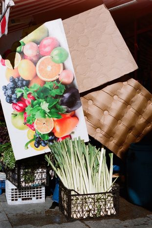 INA NIEHOFF - Istanbul