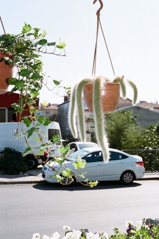 INA NIEHOFF - Istanbul