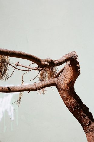 INA NIEHOFF - Istanbul