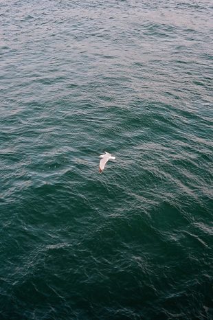 INA NIEHOFF - Istanbul