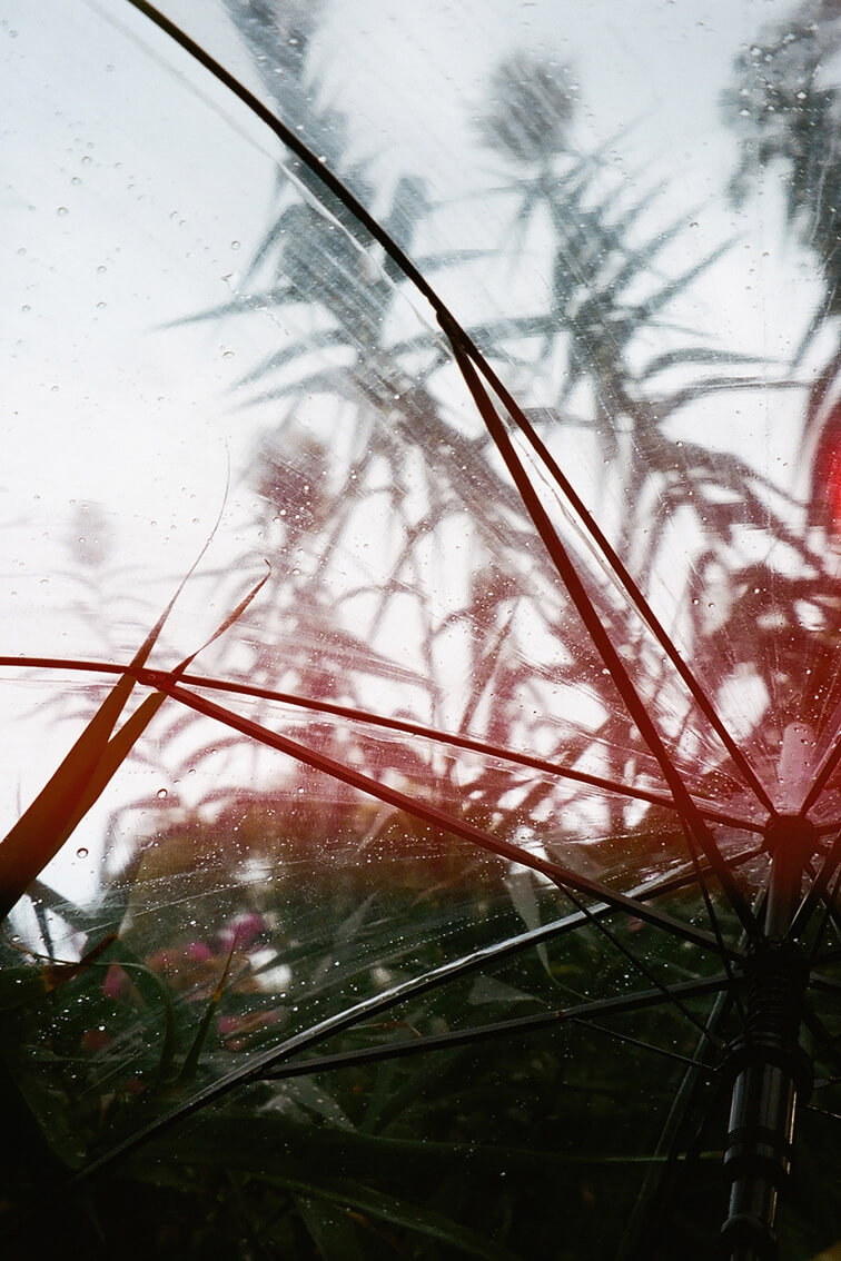 INA NIEHOFF - Istanbul