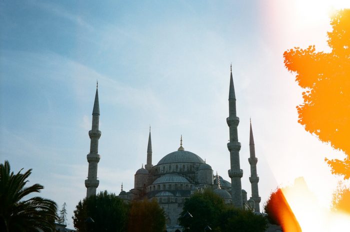 INA NIEHOFF - Istanbul