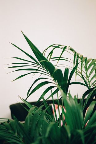 INA NIEHOFF - MARSANO BERLIN