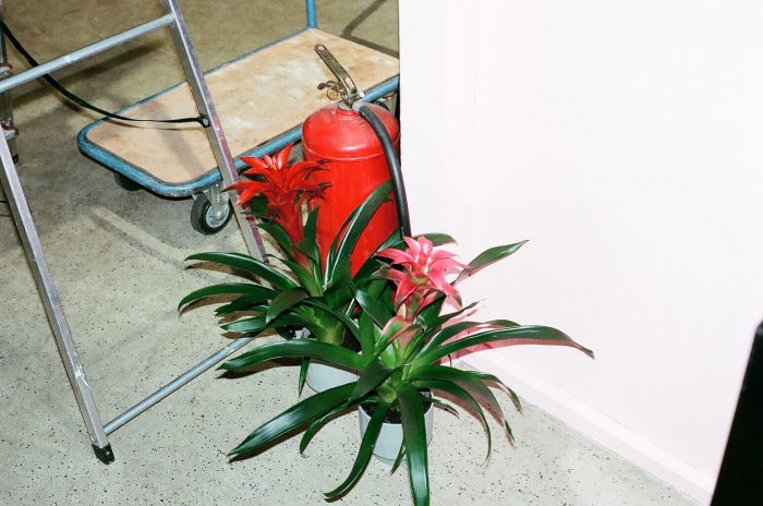 INA NIEHOFF - MARSANO BERLIN