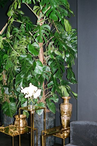 INA NIEHOFF - MARSANO BERLIN