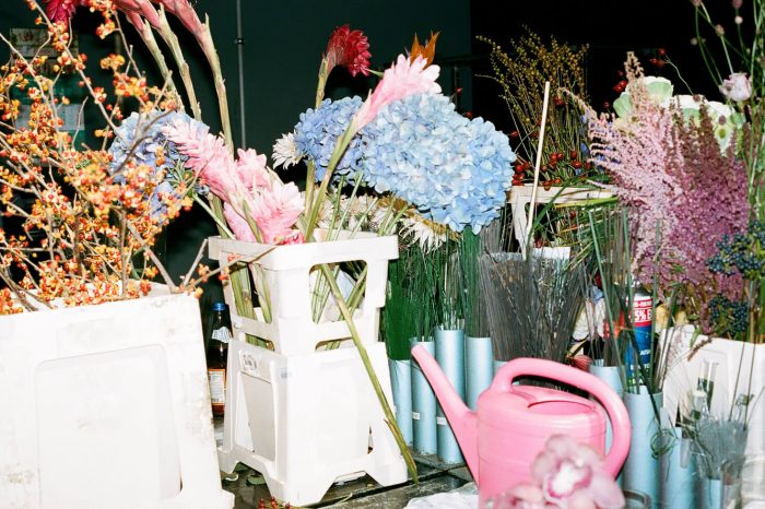 INA NIEHOFF - MARSANO BERLIN