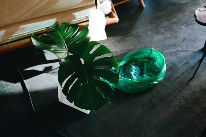 INA NIEHOFF - MARSANO BERLIN