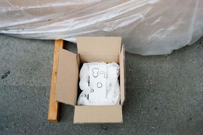 INA NIEHOFF - Nymphenburg