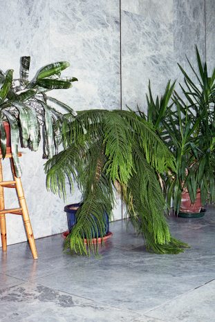 INA NIEHOFF - RATHAUS MARL