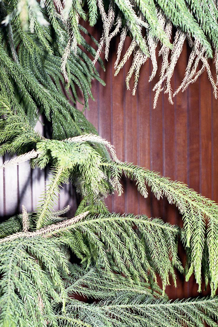 INA NIEHOFF - RATHAUS MARL