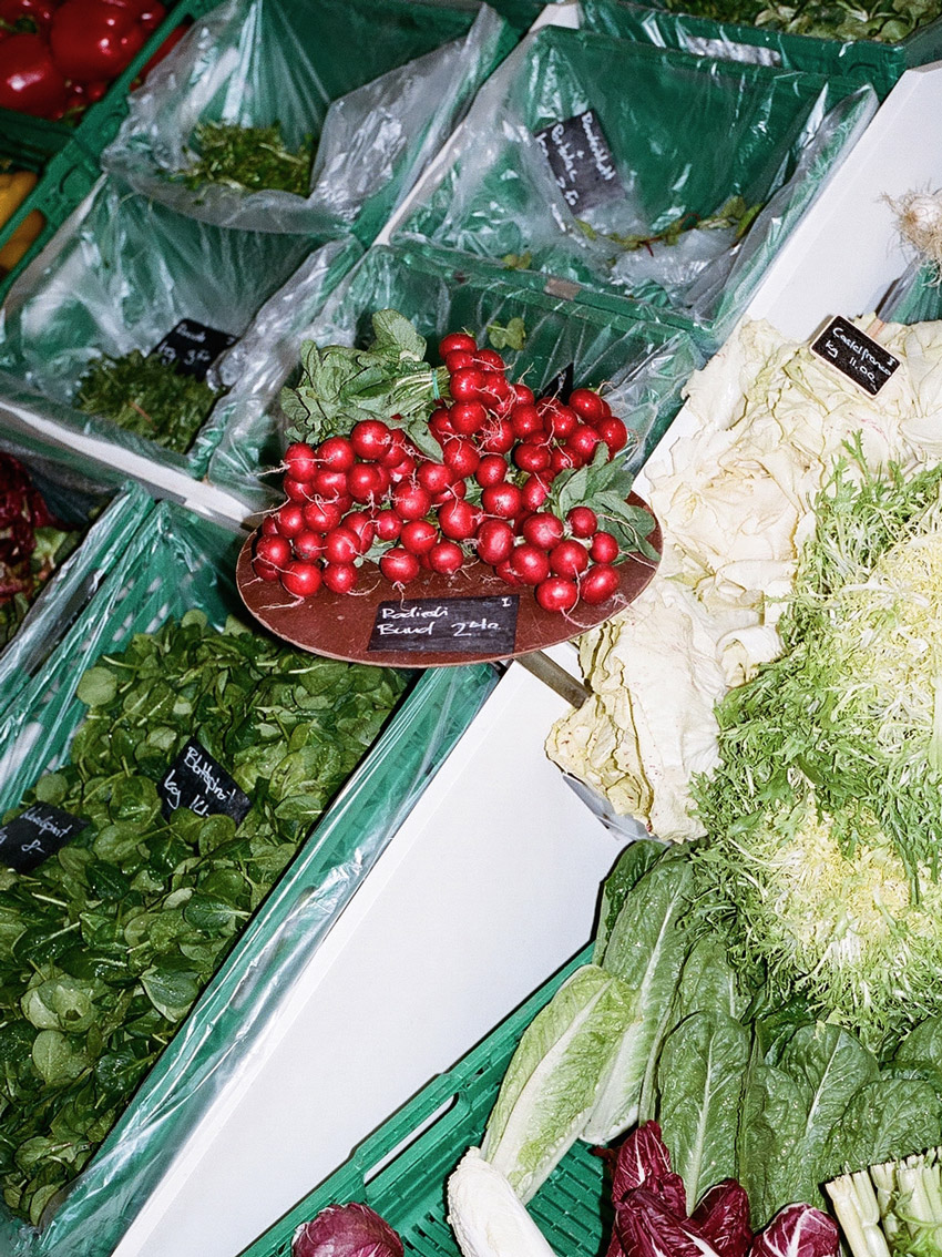 INA NIEHOFF - Itineraries of Taste