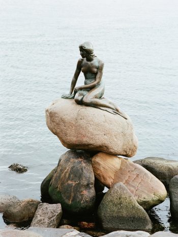 INA NIEHOFF - Itineraries of Taste