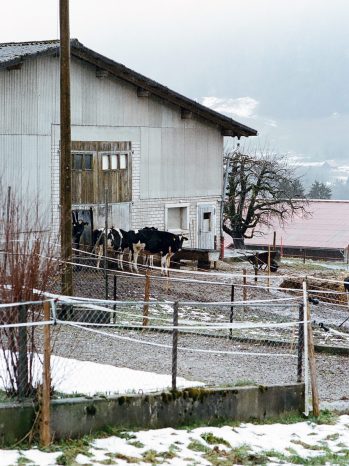 INA NIEHOFF - Itineraries of Taste