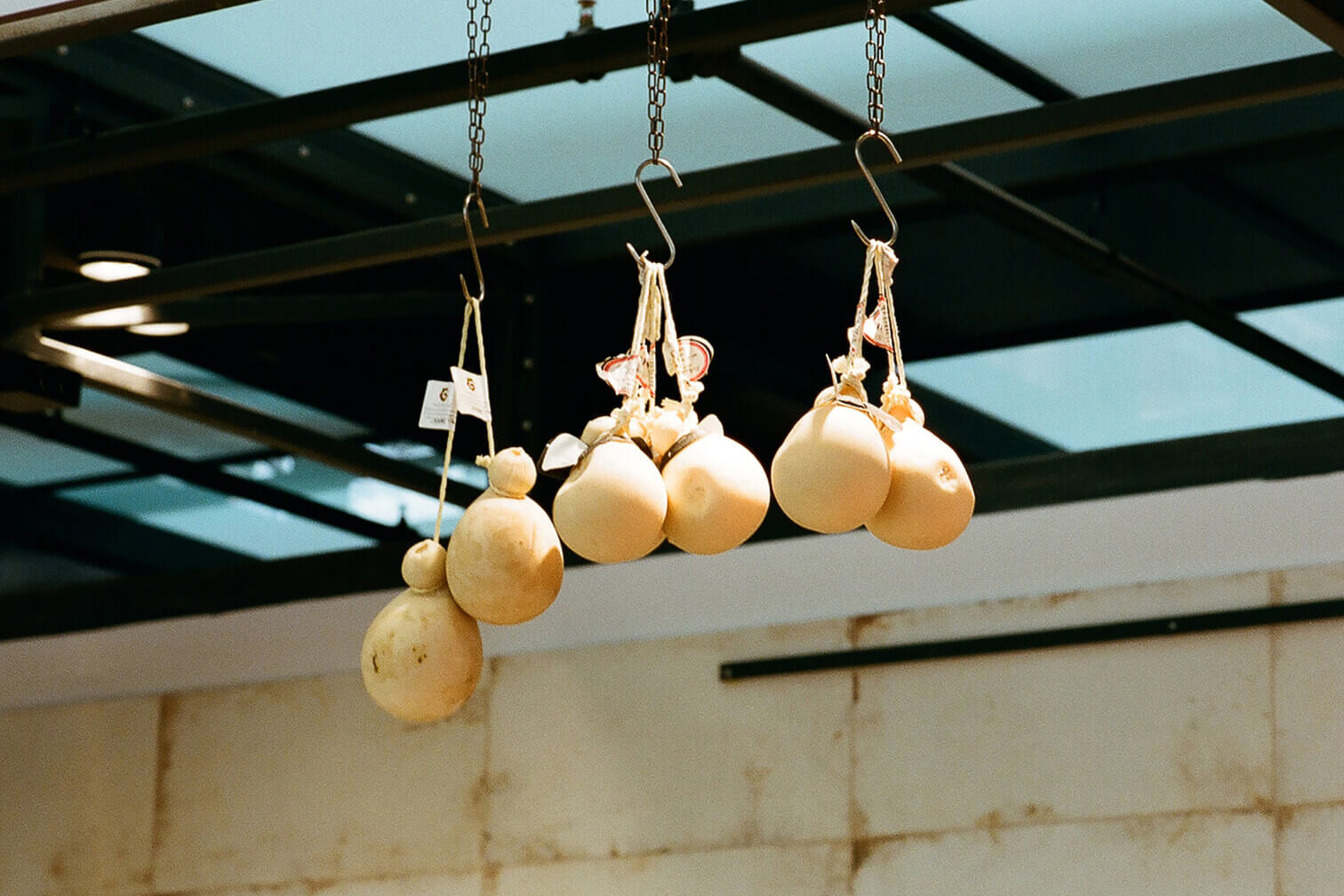 INA NIEHOFF - Itineraries of Taste