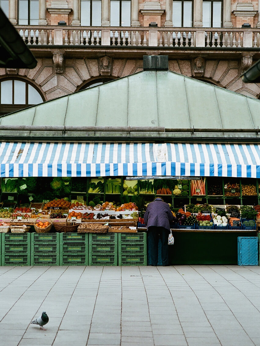 INA NIEHOFF - Itineraries of Taste