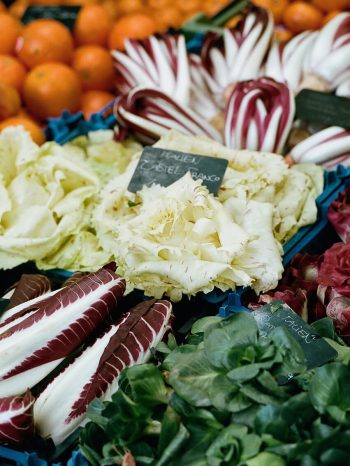 INA NIEHOFF - Itineraries of Taste