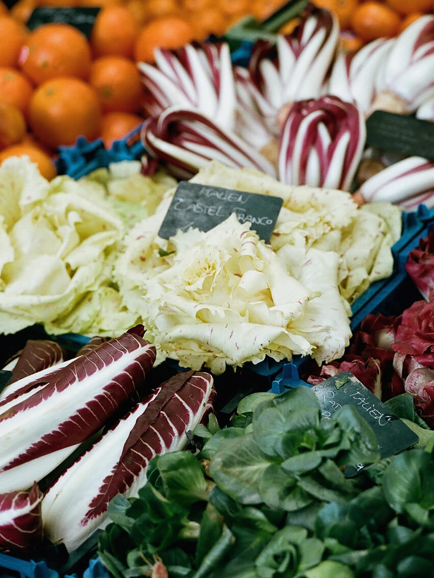 INA NIEHOFF - Itineraries of Taste