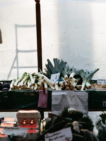 INA NIEHOFF - Itineraries of Taste