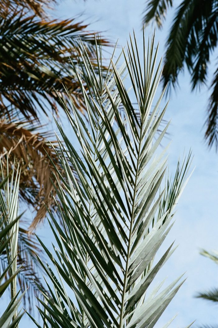 INA NIEHOFF - MOROCCO