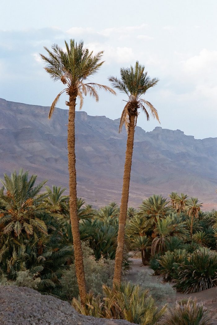 INA NIEHOFF - MOROCCO