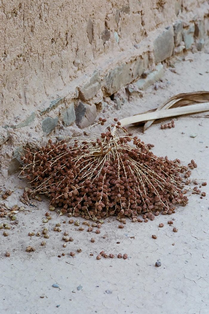 INA NIEHOFF - MOROCCO