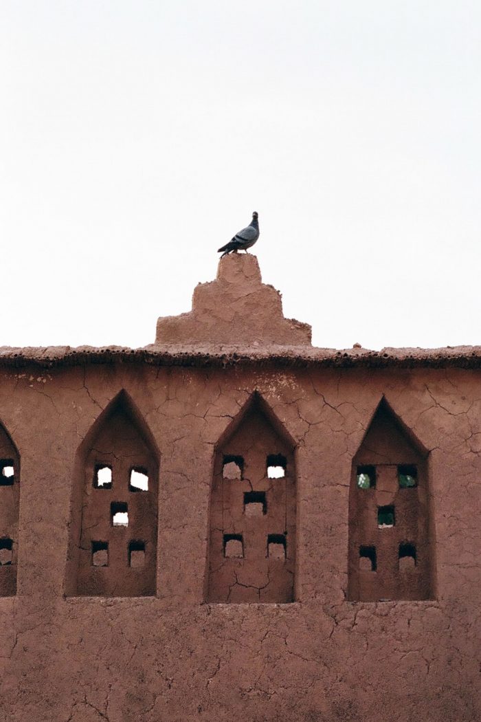 INA NIEHOFF - MOROCCO