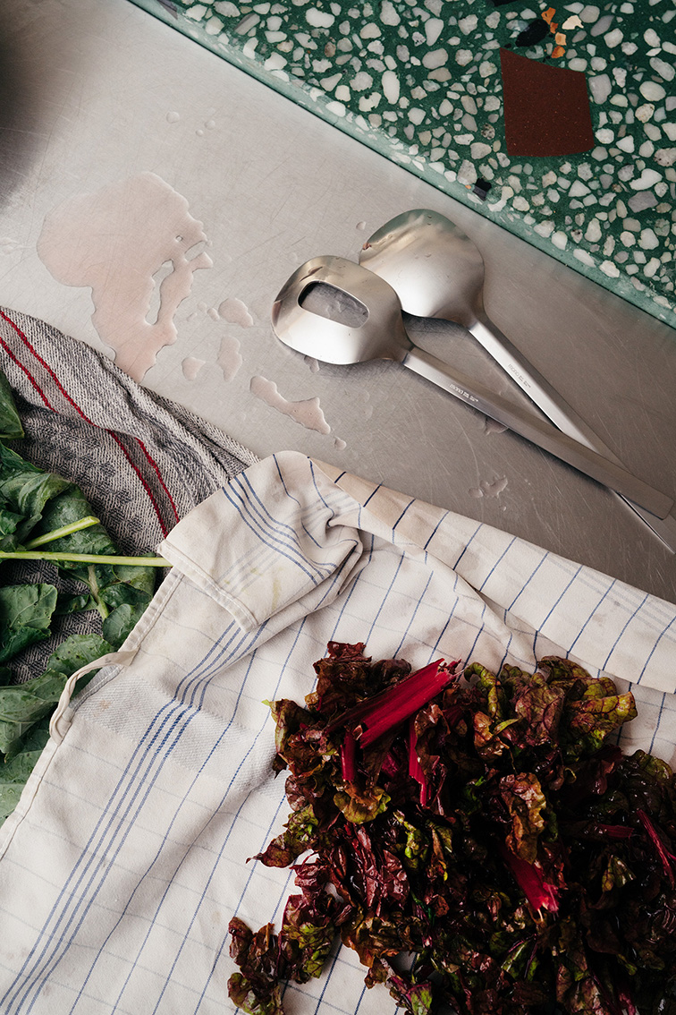 INA NIEHOFF - CHELSEA TUROWSKY SALAD DAYS FOR MONO