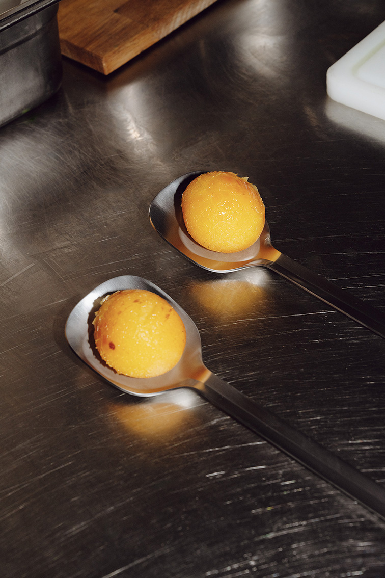 INA NIEHOFF - CHELSEA TUROWSKY SALAD DAYS FOR MONO