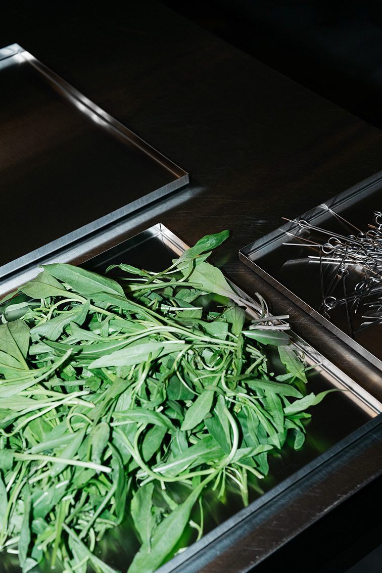 INA NIEHOFF - CHELSEA TUROWSKY SALAD DAYS FOR MONO