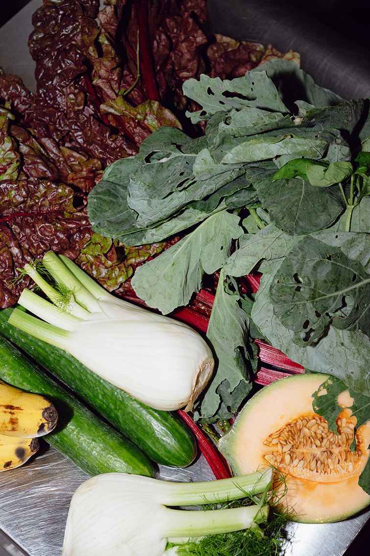 INA NIEHOFF - CHELSEA TUROWSKY SALAD DAYS FOR MONO