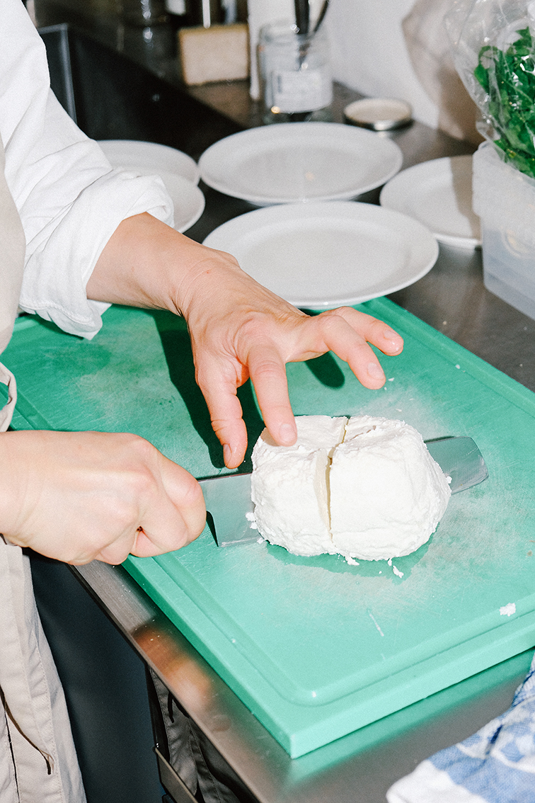 INA NIEHOFF - REFORM CPH & SHE SHE