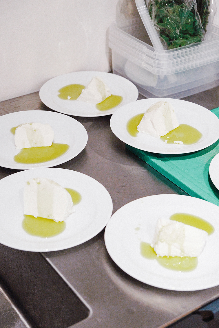 INA NIEHOFF - REFORM CPH & SHE SHE